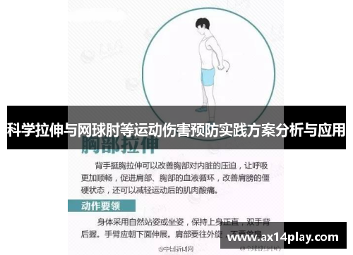 科学拉伸与网球肘等运动伤害预防实践方案分析与应用